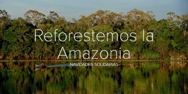 Reforestemos la Amazonia